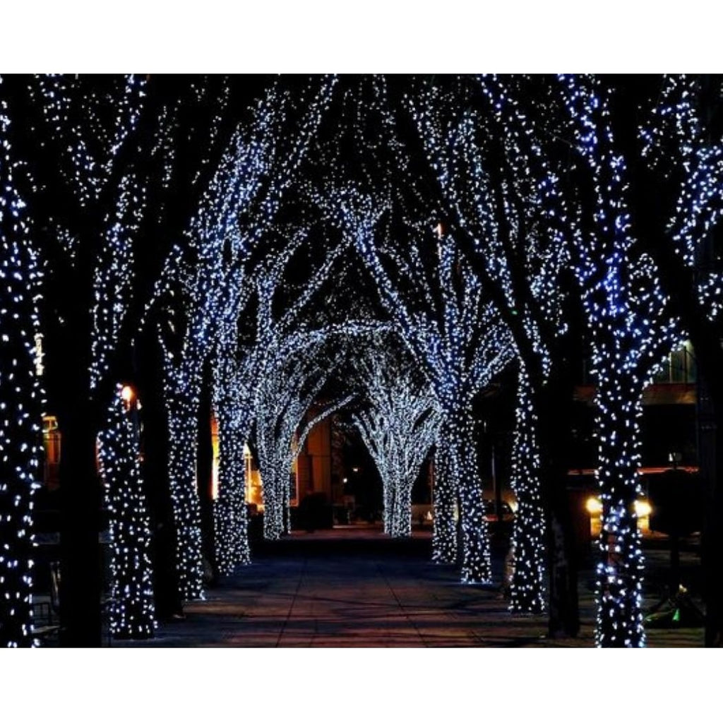 Set X3 Luces de Navidad Lineal X100 C/U