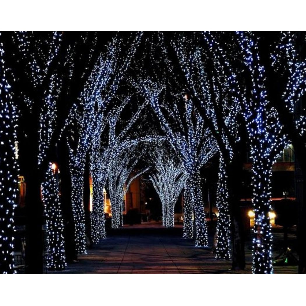 Set X3 Luces de Navidad Lineal X100 C/U